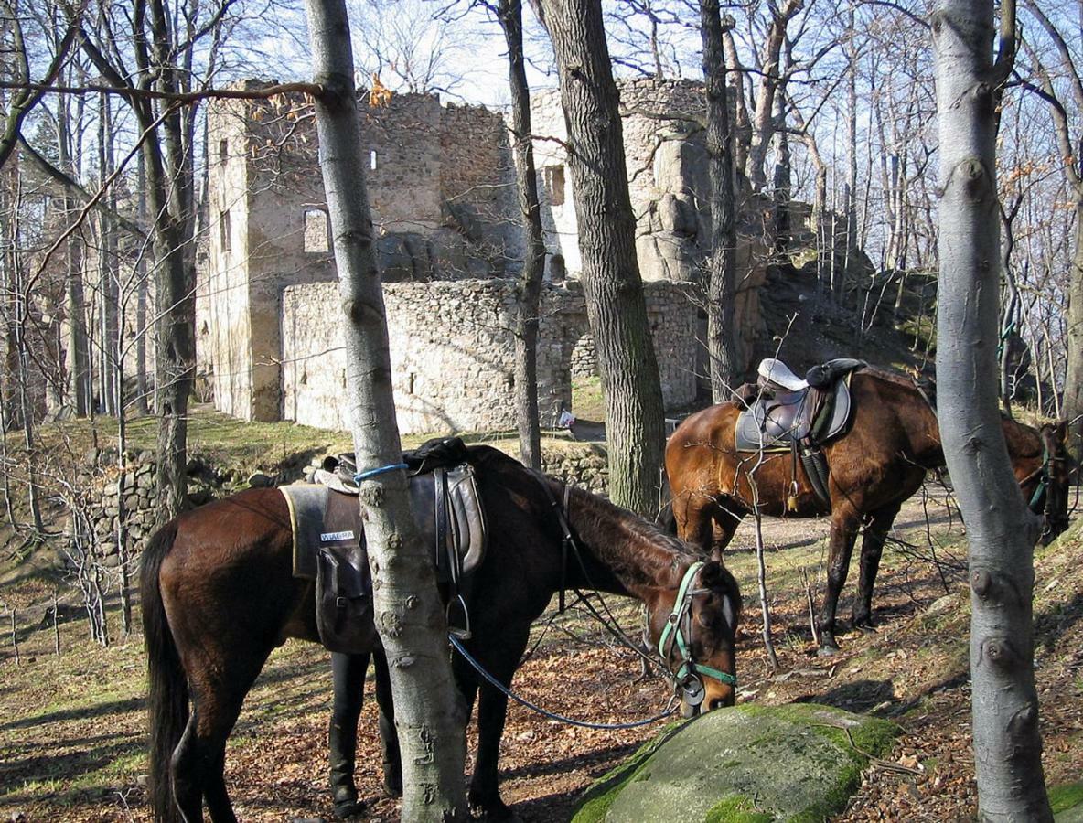 Szalas Muflon - Mufflonhuette Jelenia Gora Exterior photo